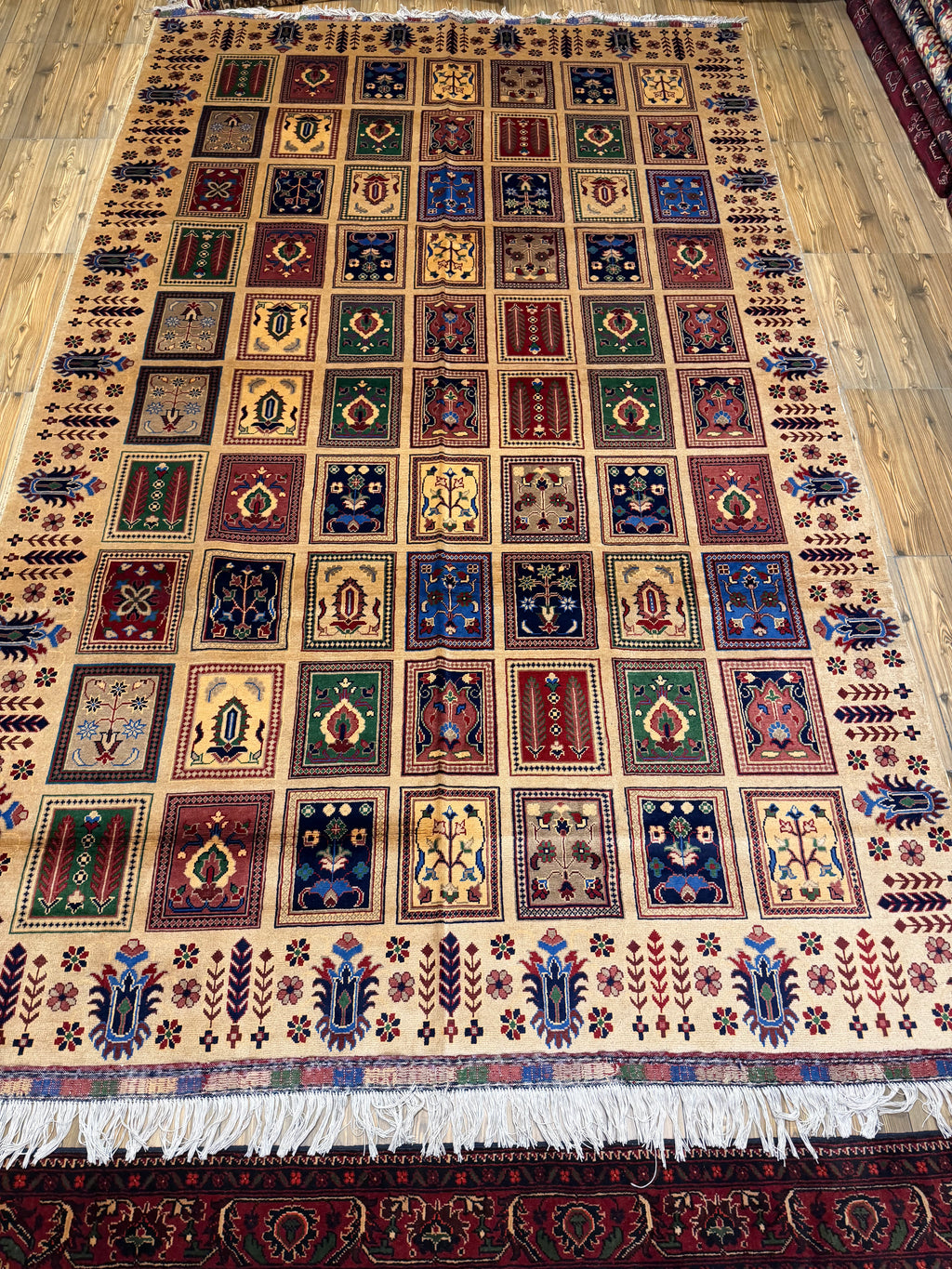 Luxury fine Afghan "Vollayati" Carpet