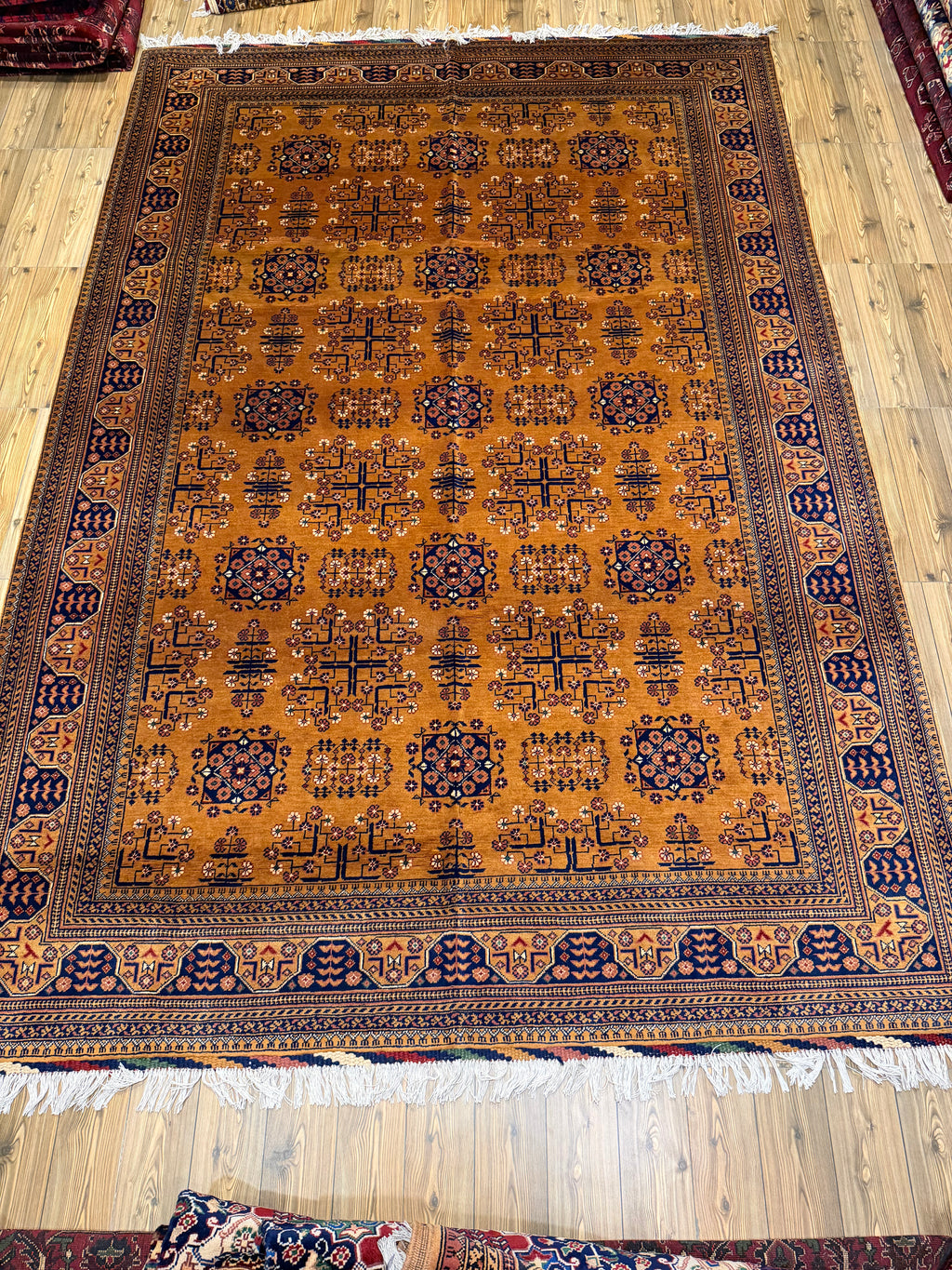 Luxury fine Afghan "Vollayati" Carpet