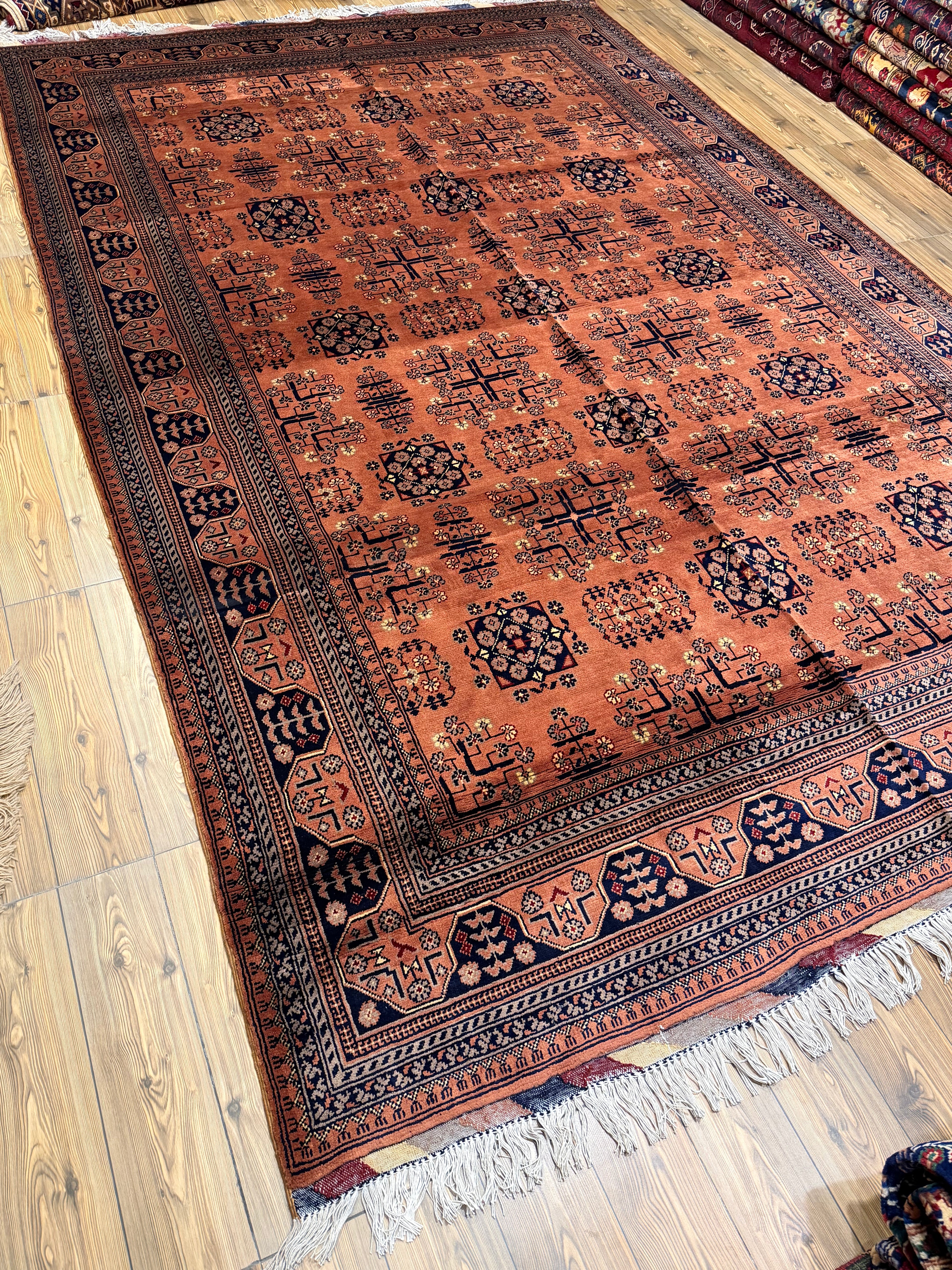 Luxury fine Afghan "Vollayati" Carpet
