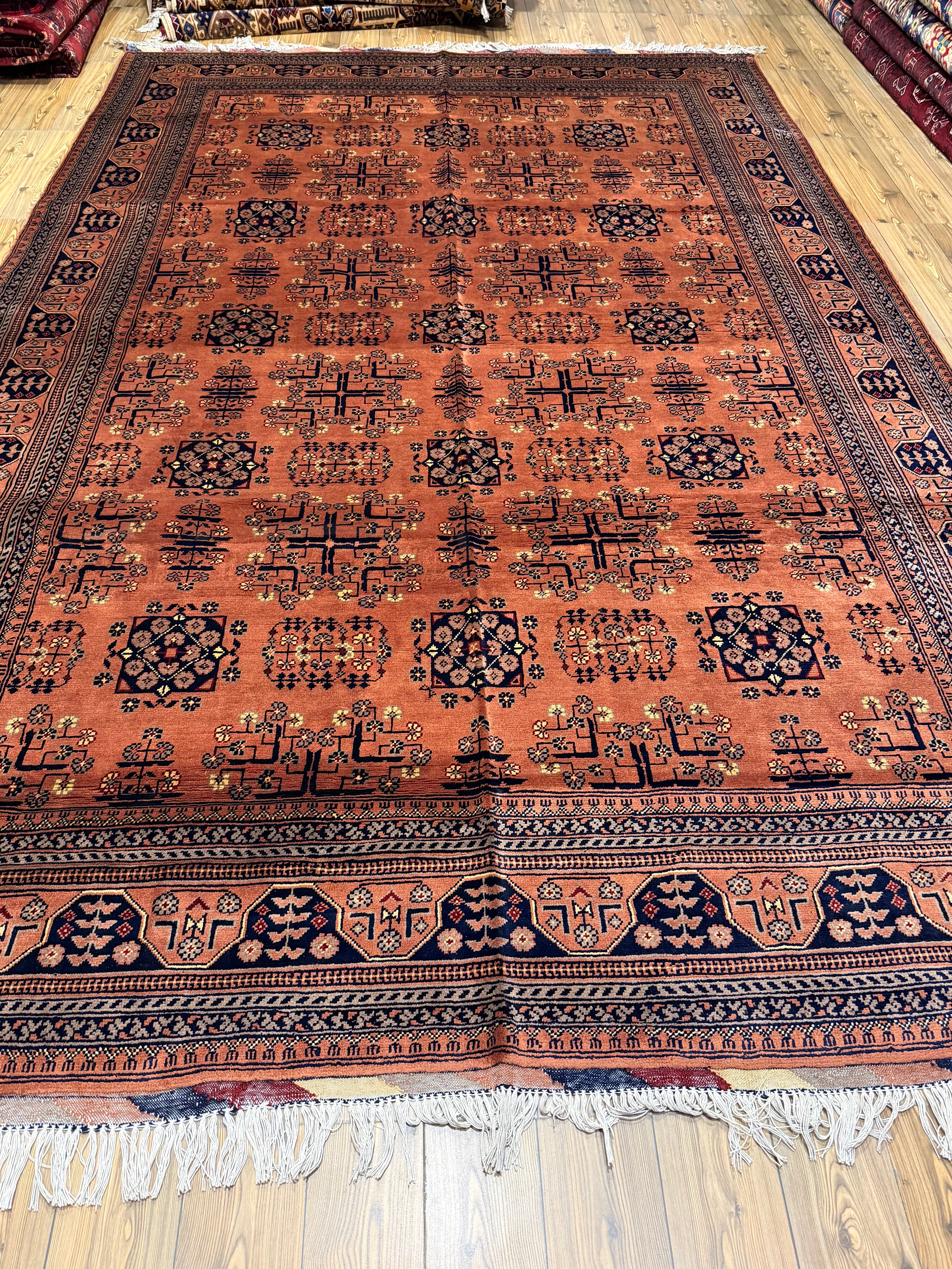 Luxury fine Afghan "Vollayati" Carpet