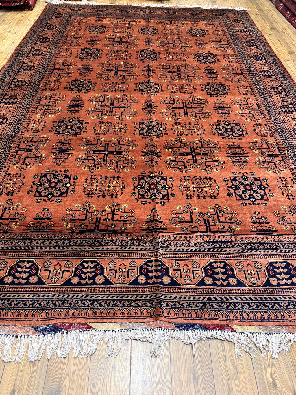 Luxury fine Afghan "Vollayati" Carpet