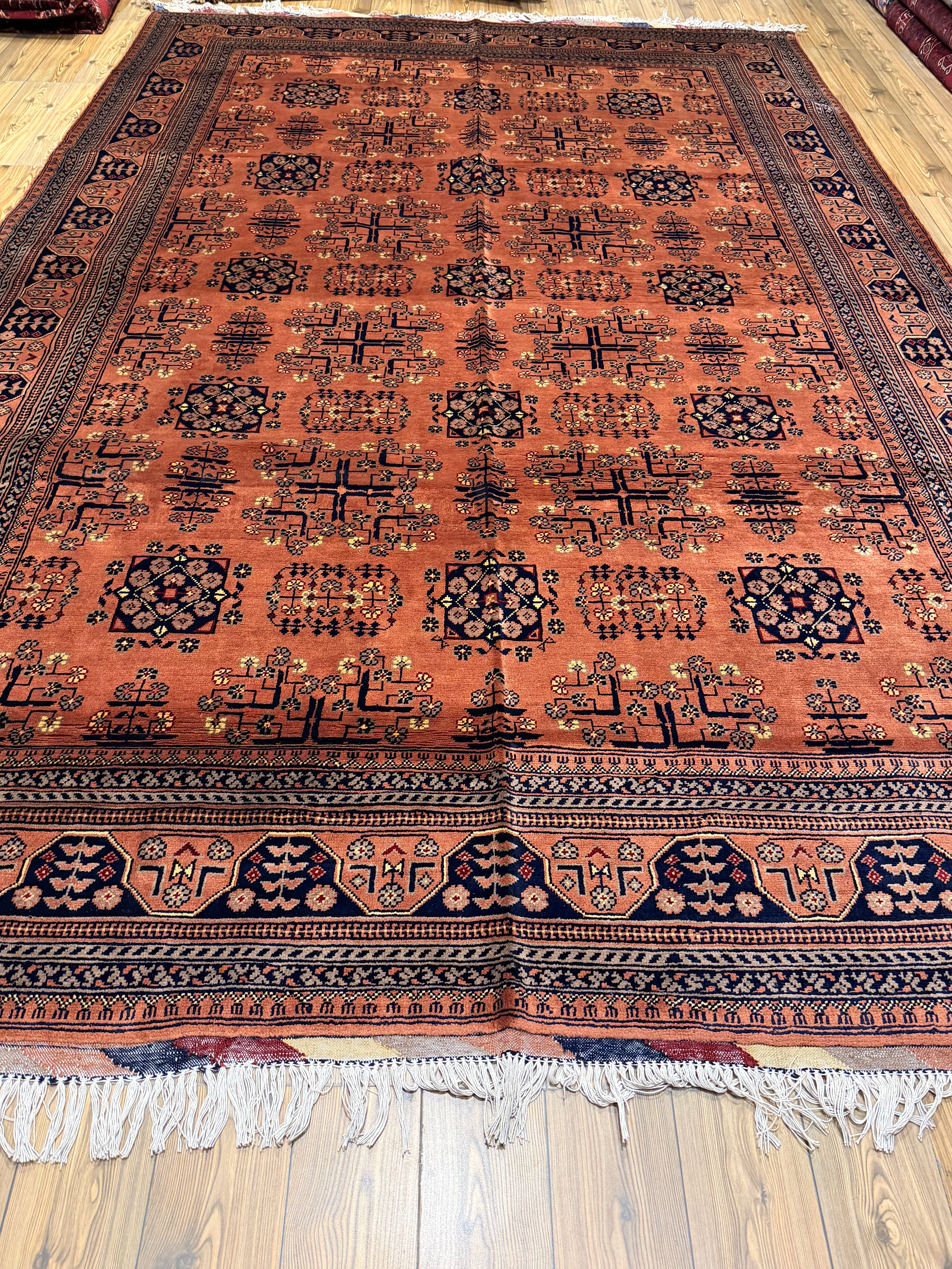 Luxury fine Afghan "Vollayati" Carpet
