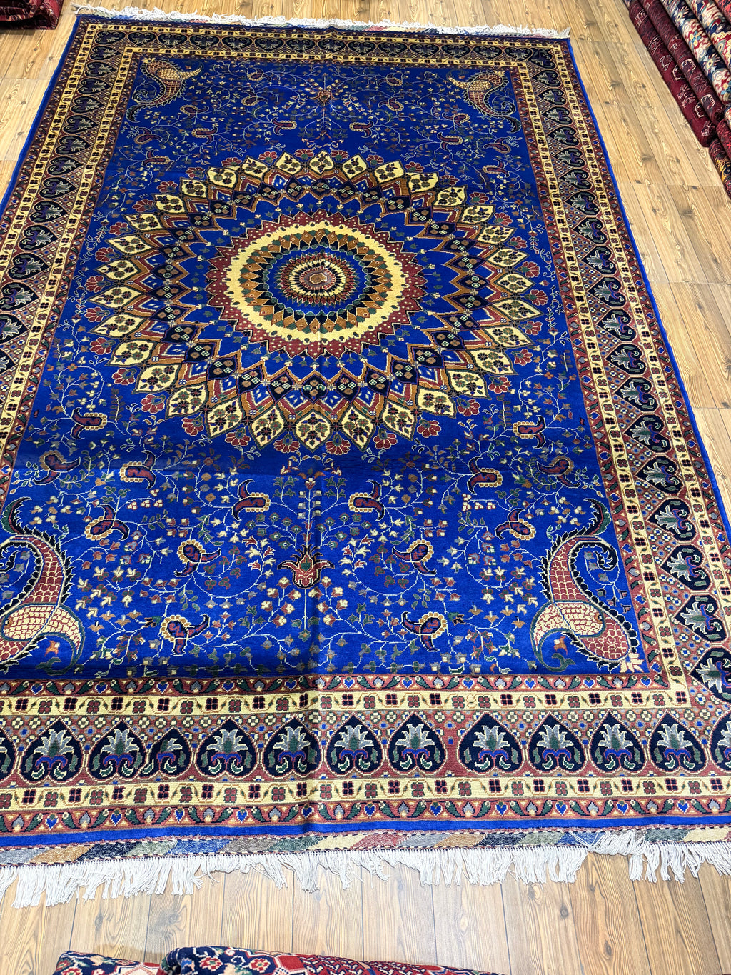 Luxury fine Afghan "Vollayati" Carpet