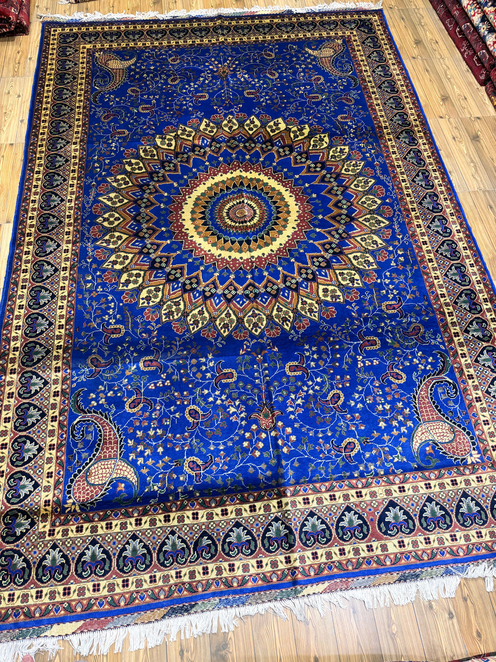 Luxury fine Afghan "Vollayati" Carpet