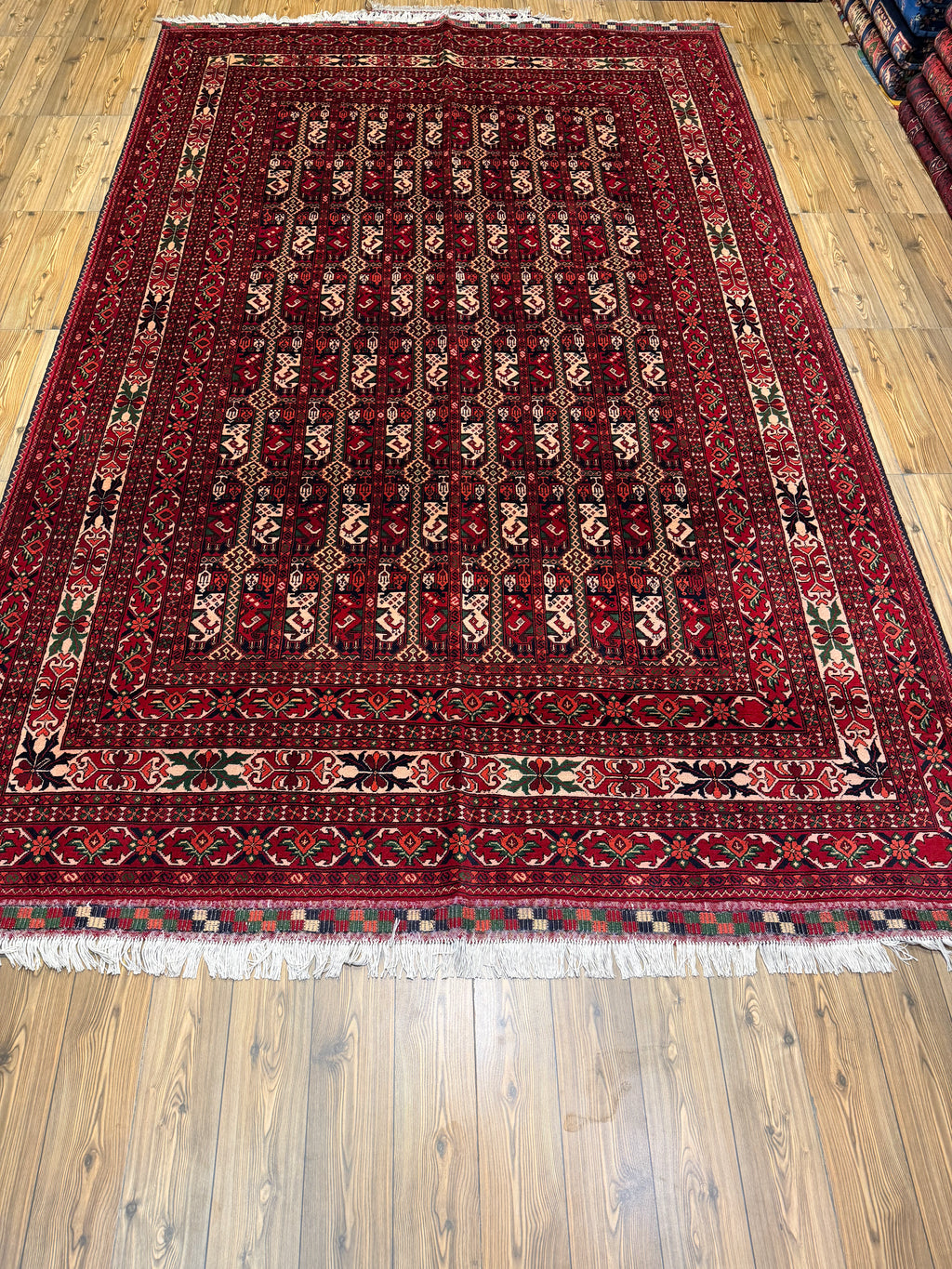 Luxury fine Afghan "Vollayati" Carpet