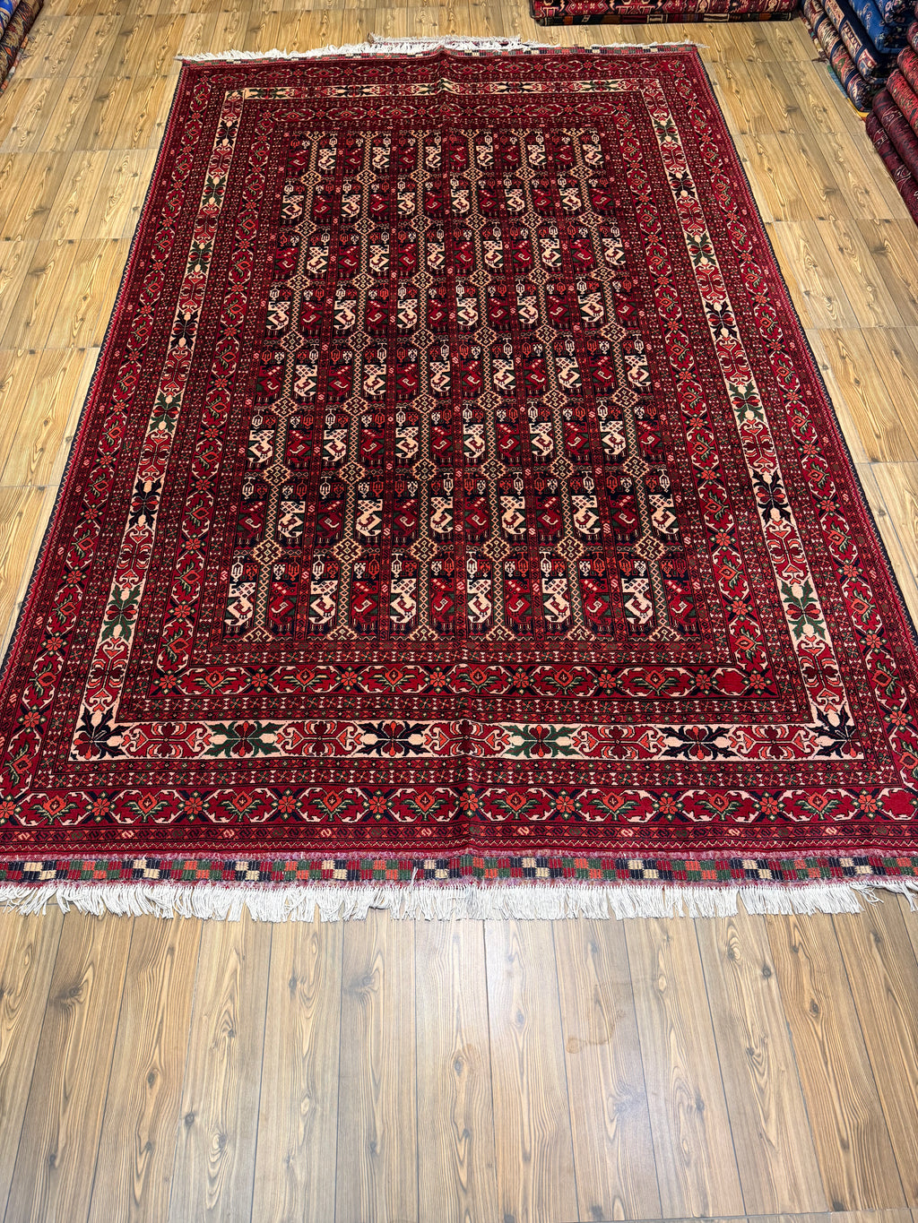 Luxury fine Afghan "Vollayati" Carpet