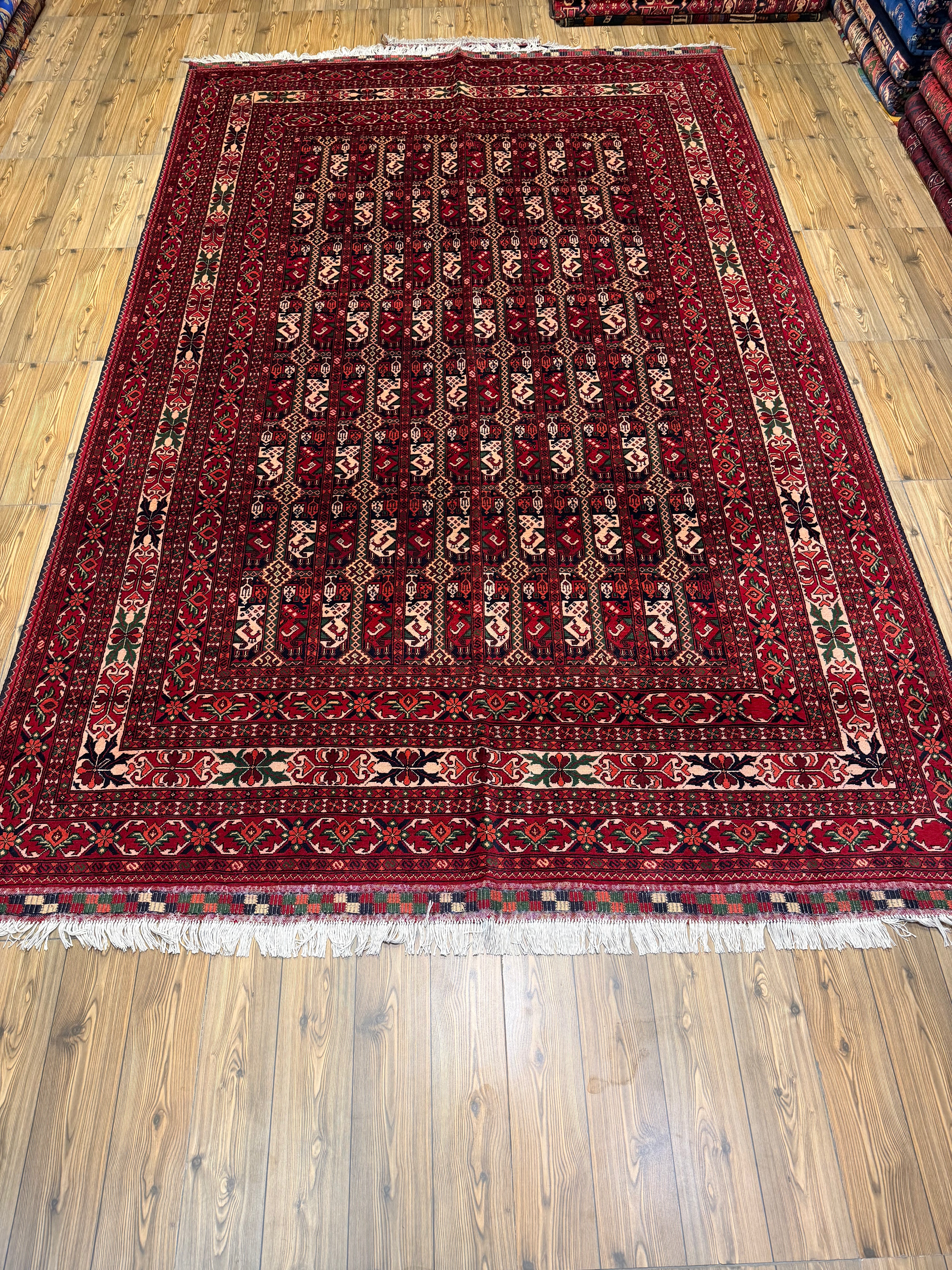 Luxury fine Afghan "Vollayati" Carpet