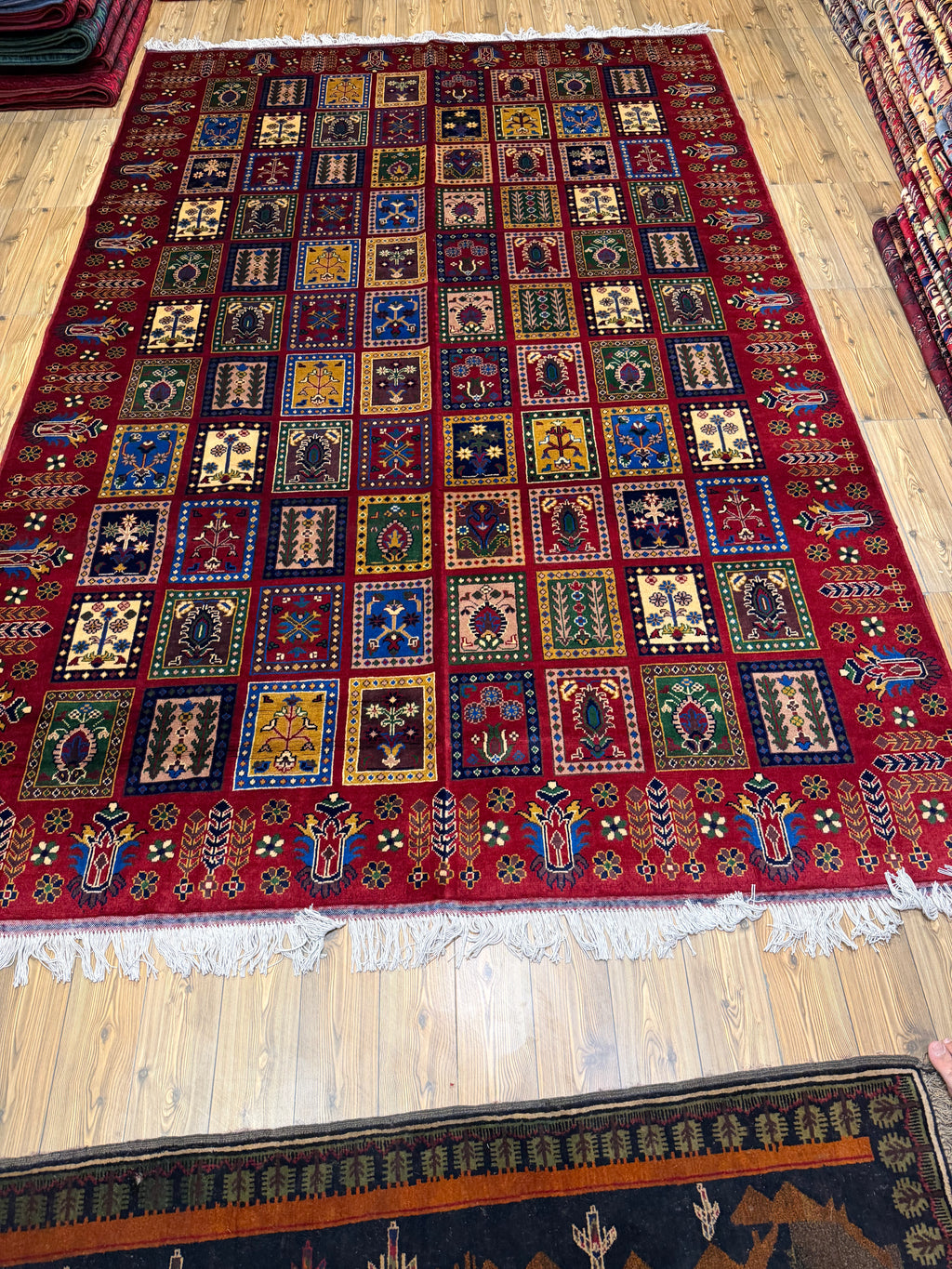 Luxury fine Afghan "Vollayati" Carpet