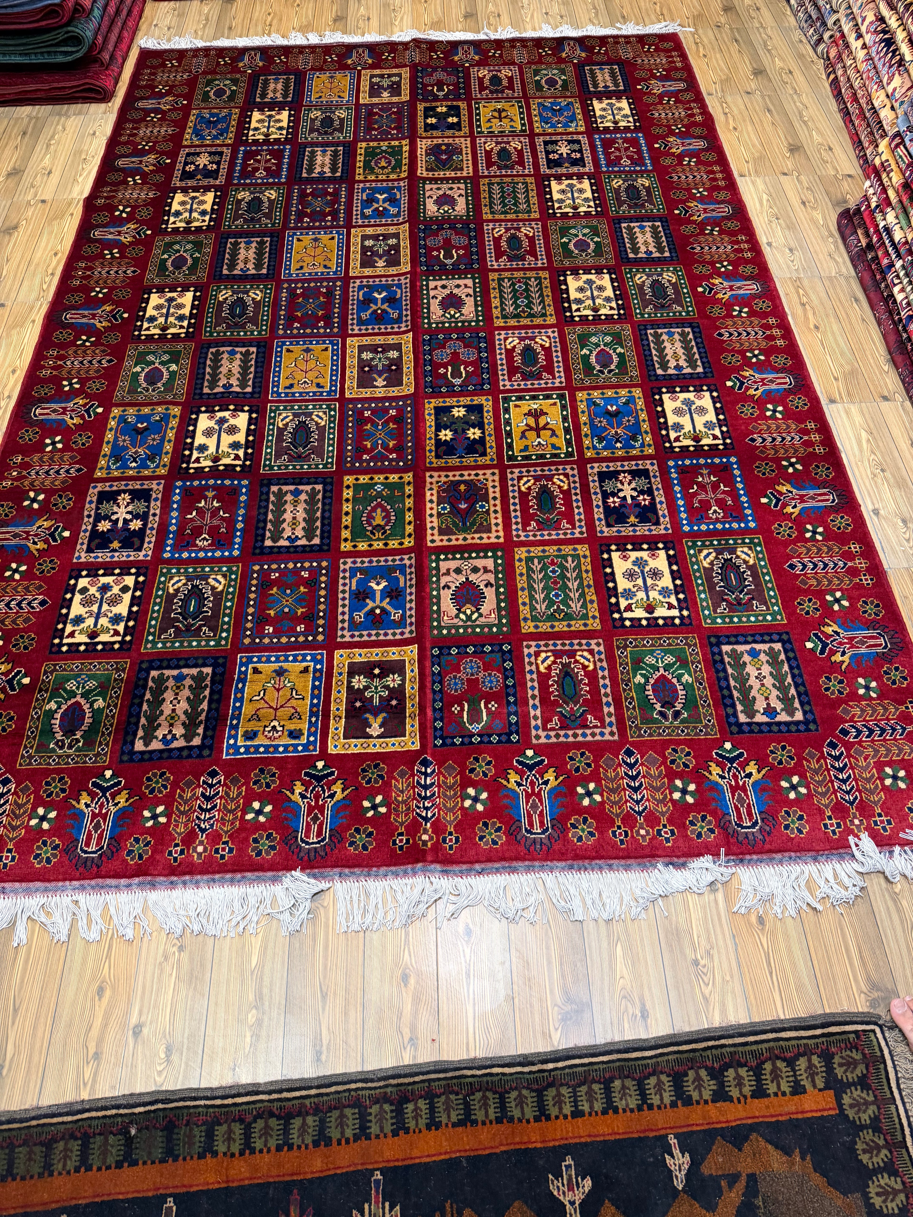 Luxury fine Afghan "Vollayati" Carpet
