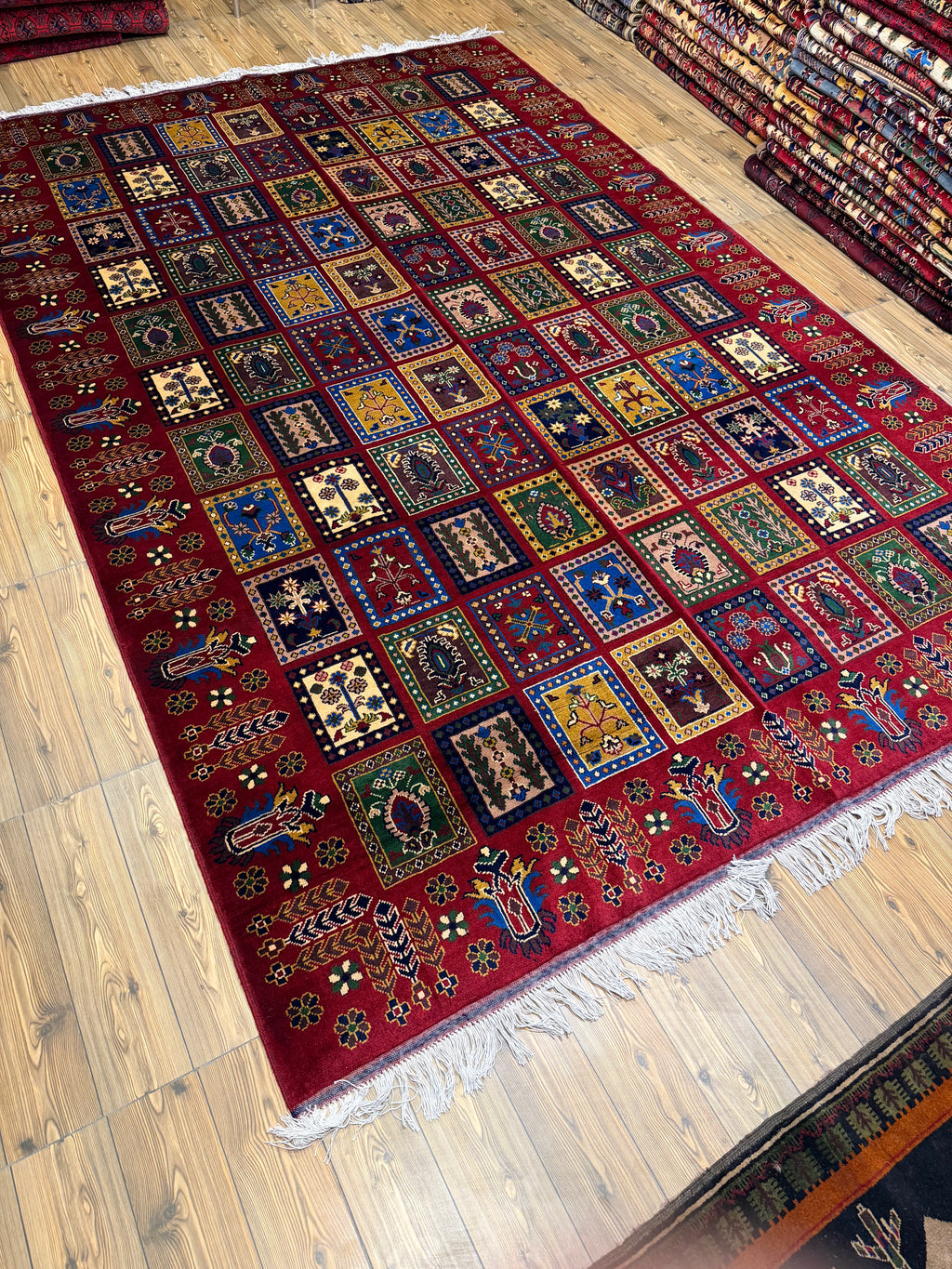 Luxury fine Afghan "Vollayati" Carpet