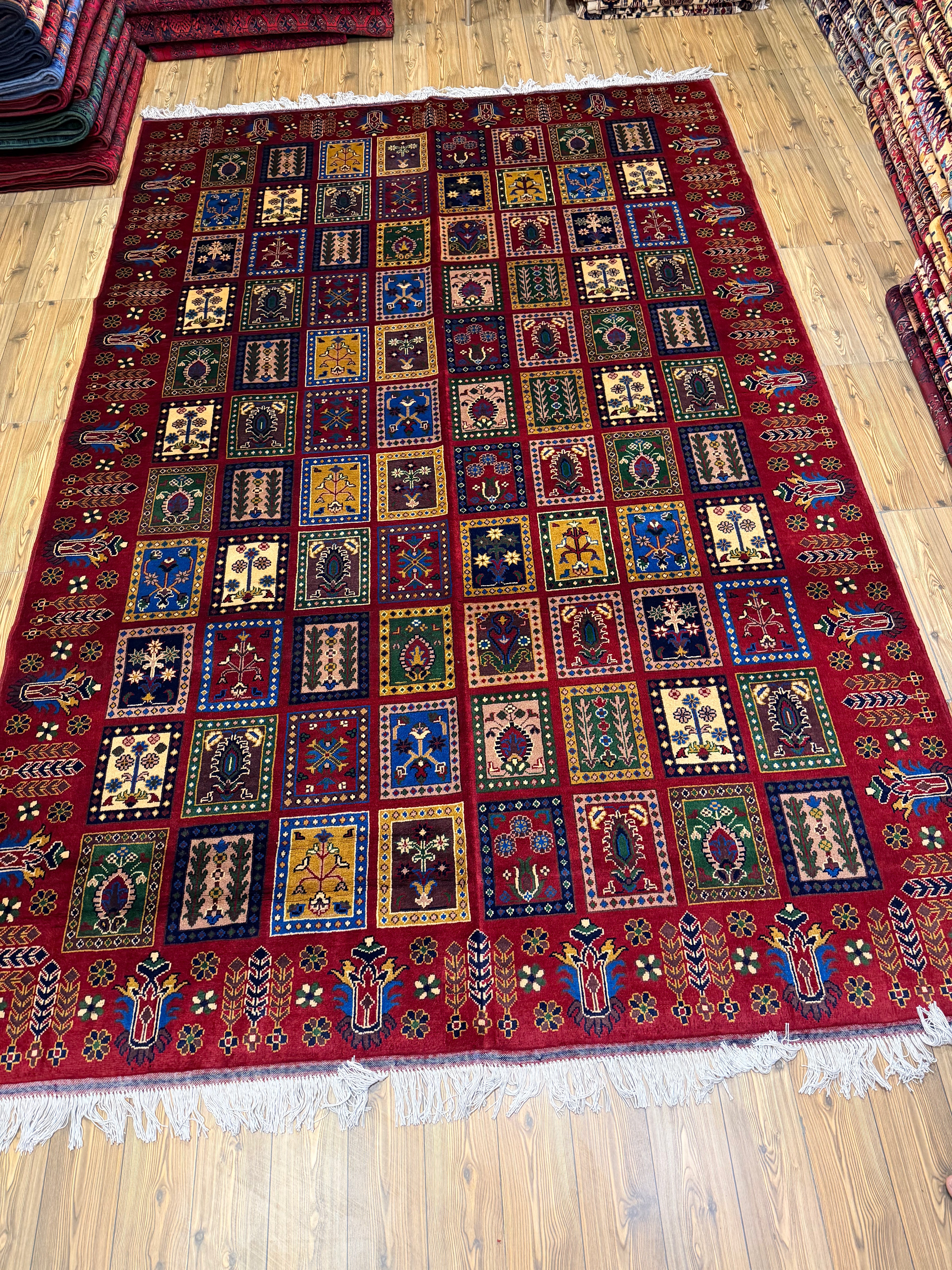 Luxury fine Afghan "Vollayati" Carpet