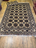 Luxury fine Afghan "Vollayati" Carpet