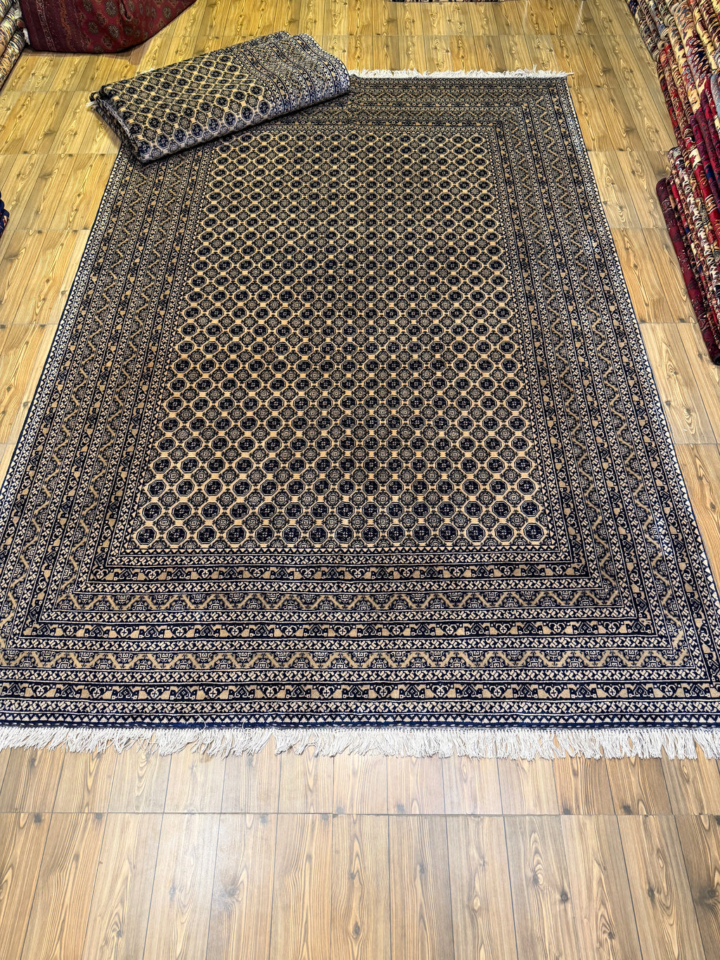 Luxury fine Afghan "Vollayati" Carpet