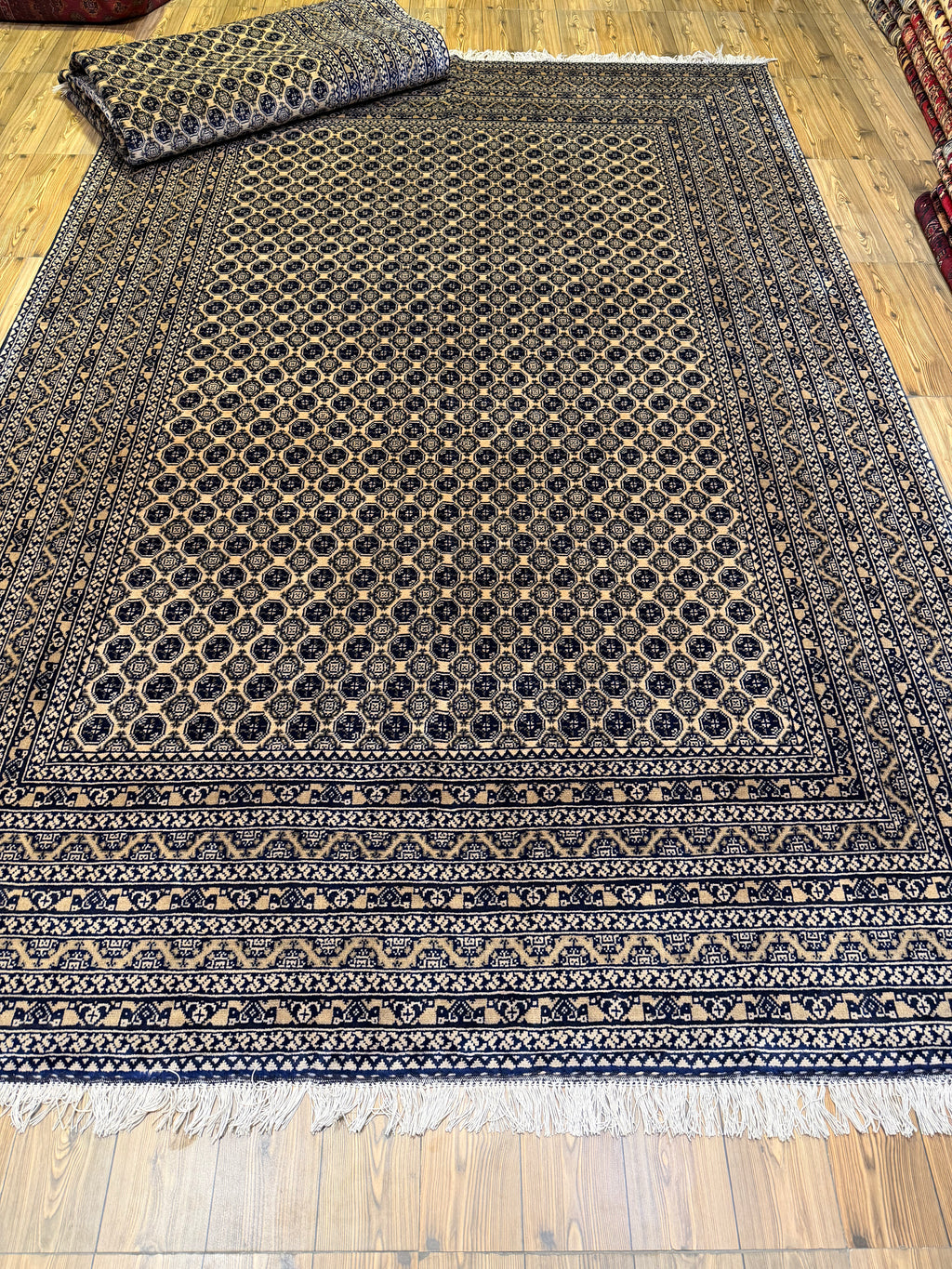 Luxury fine Afghan "Vollayati" Carpet