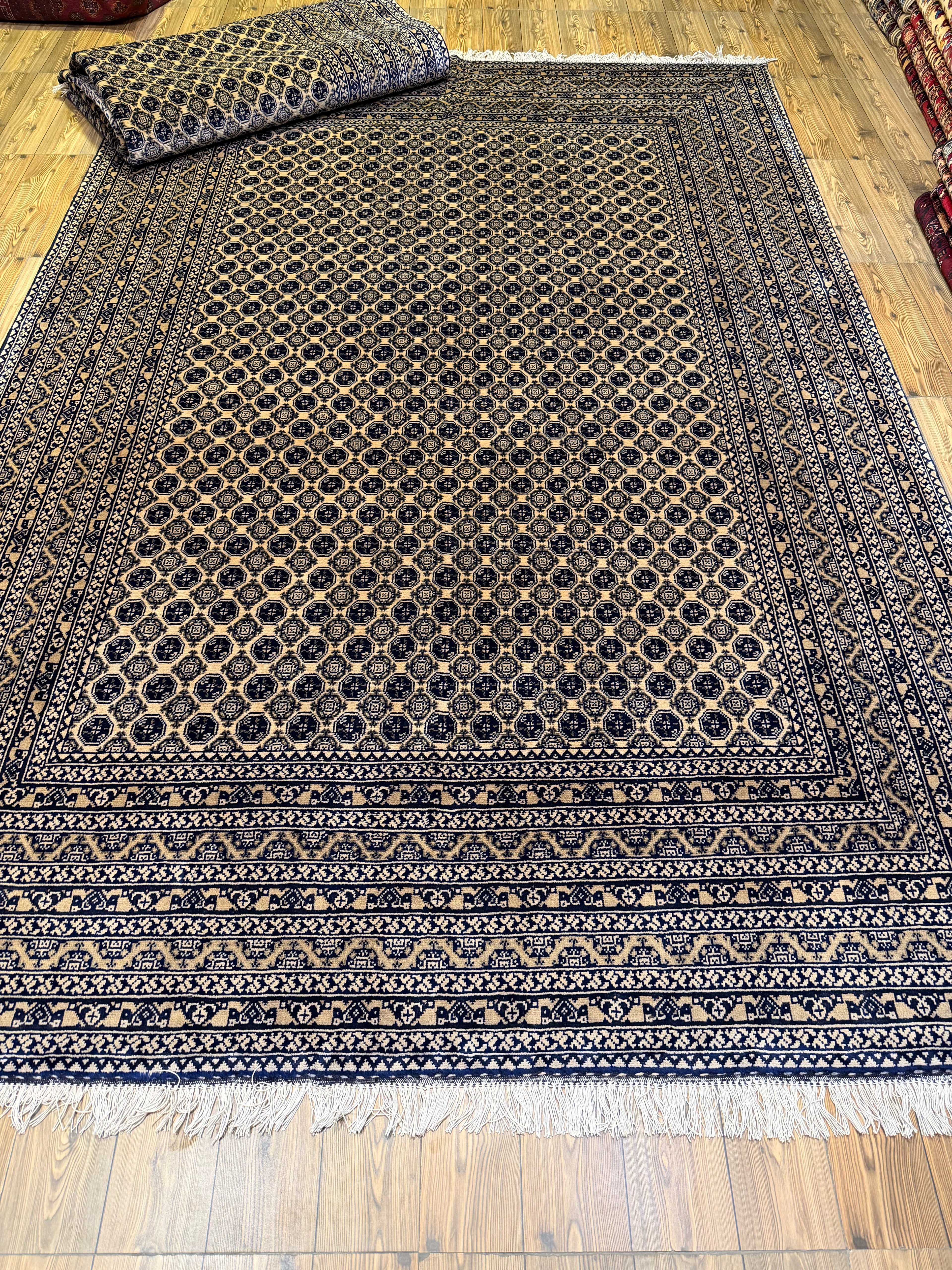 Luxury fine Afghan "Vollayati" Carpet