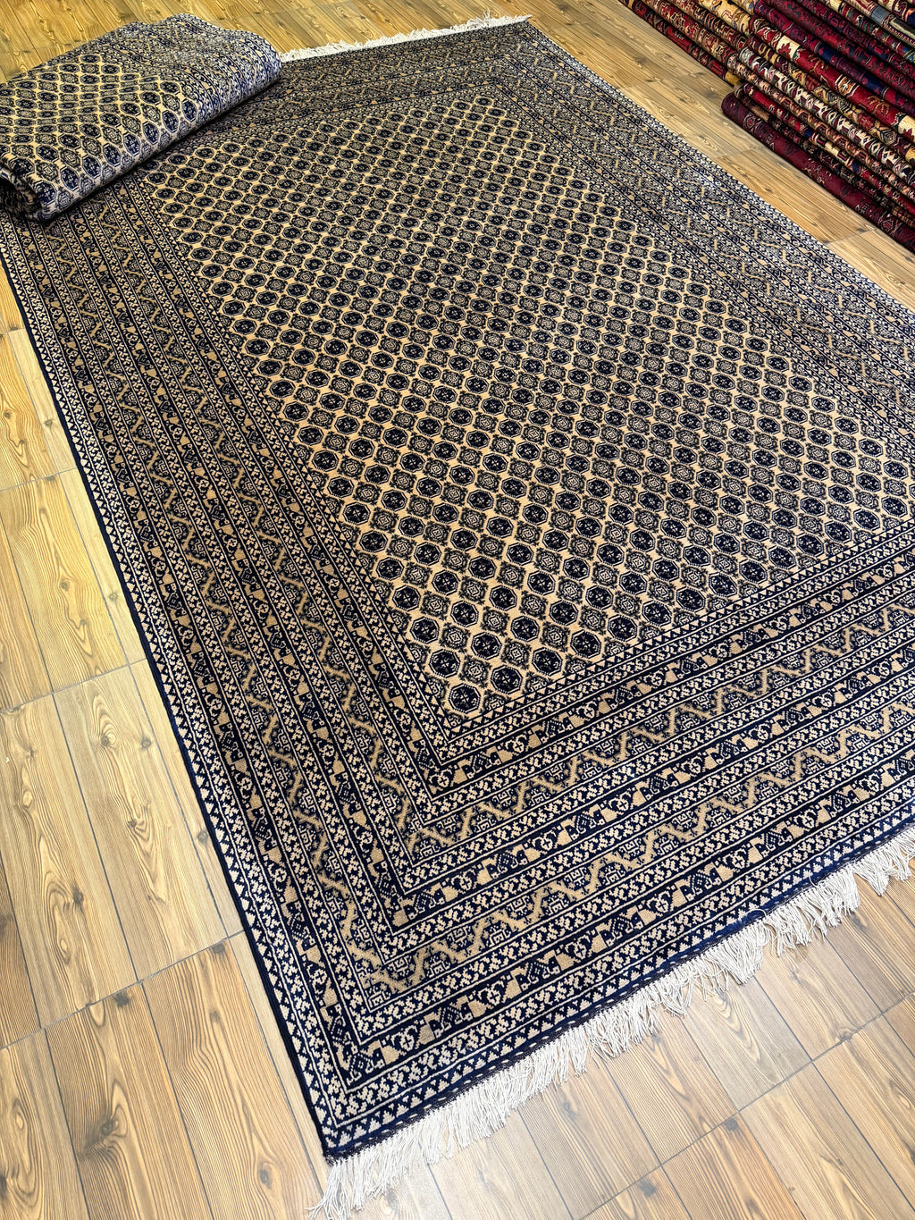 Luxury fine Afghan "Vollayati" Carpet