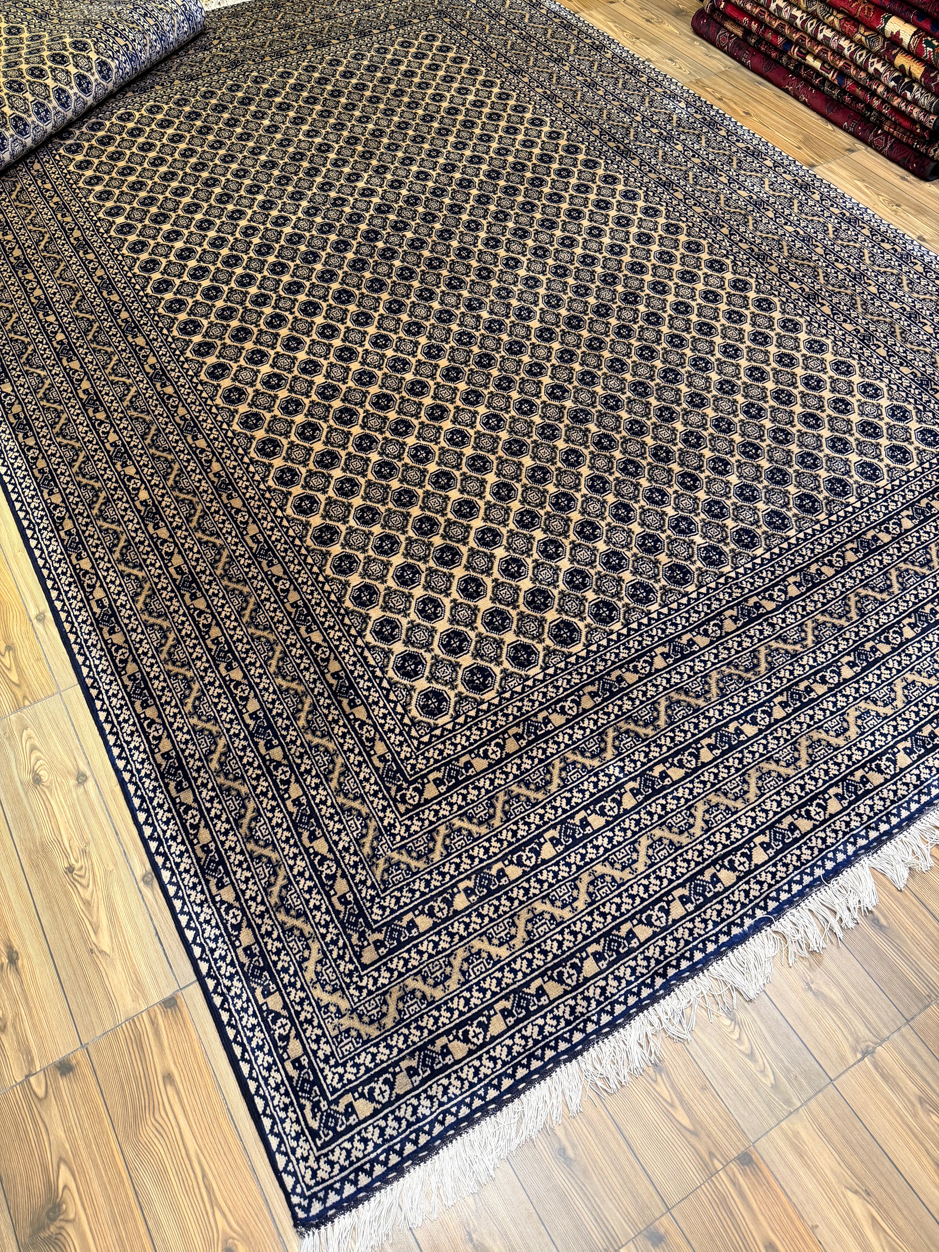 Luxury fine Afghan "Vollayati" Carpet