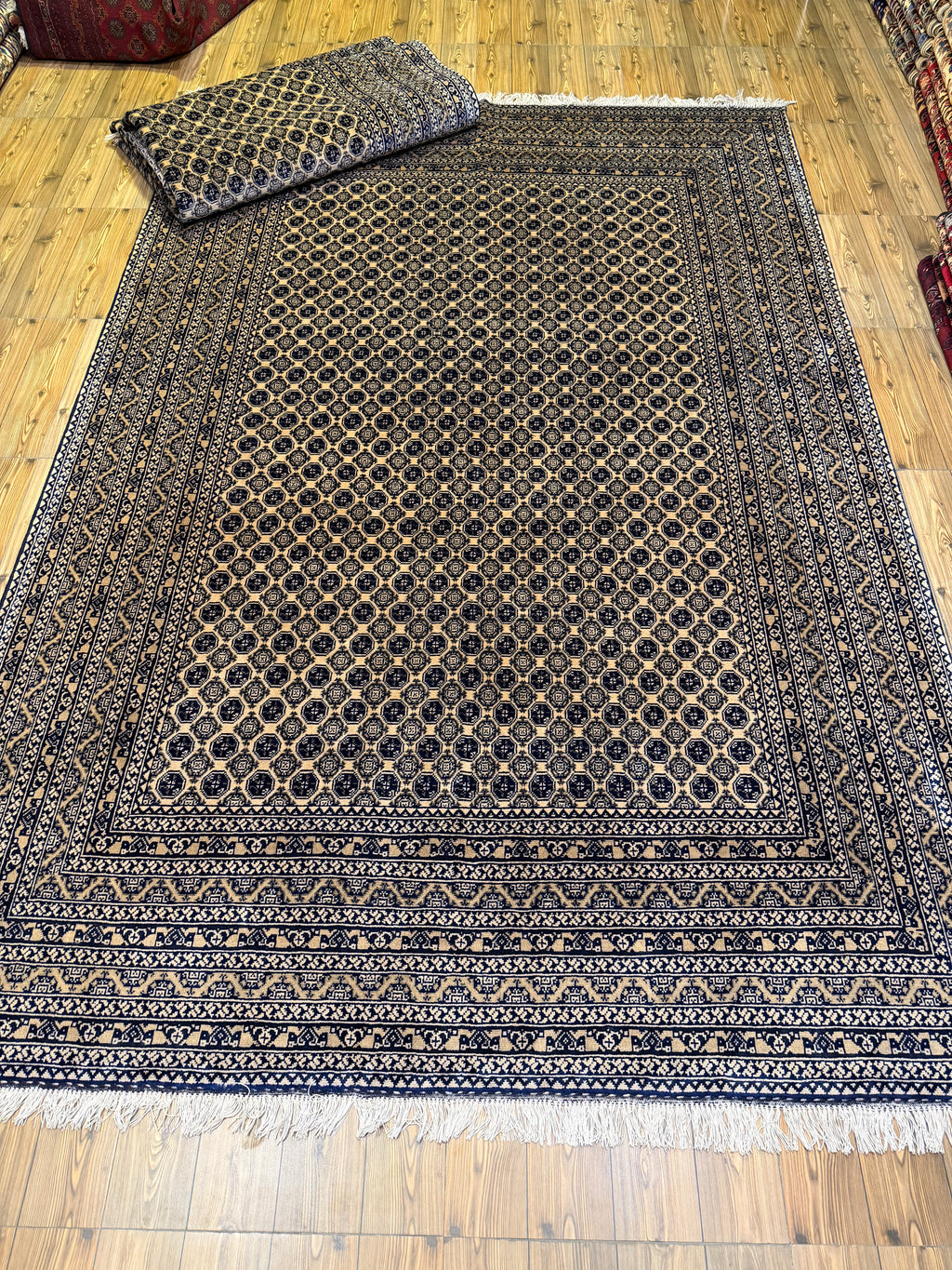 Luxury fine Afghan "Vollayati" Carpet